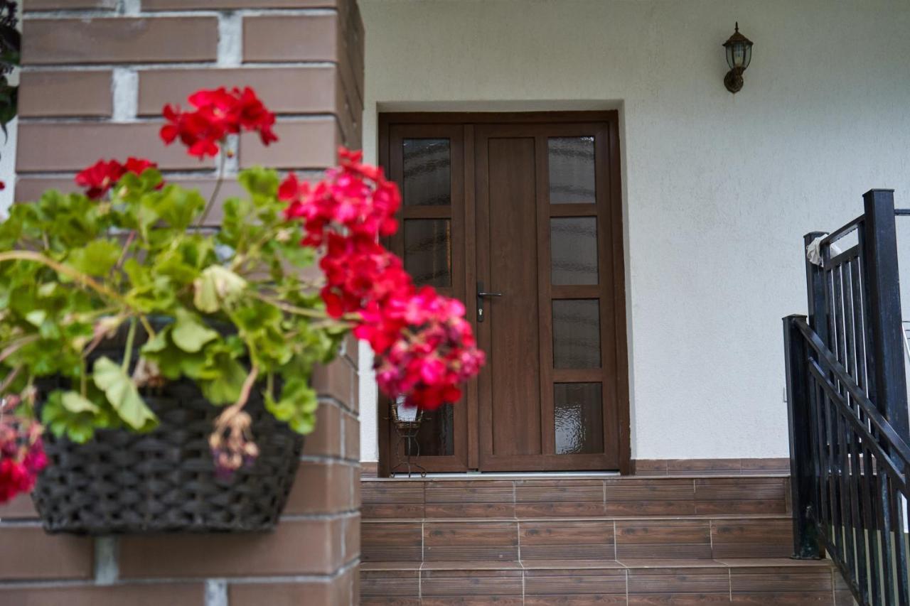 Casa Sofia Hotel Borşa Exterior foto
